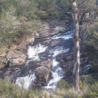 DanoCarmo99's profile picture. Red V for life