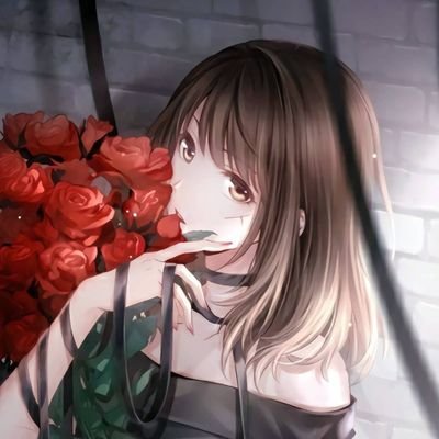 1xhply's profile picture. 