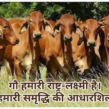 SunilKh16365071's profile picture. Har har mahadev kashi vishwanath