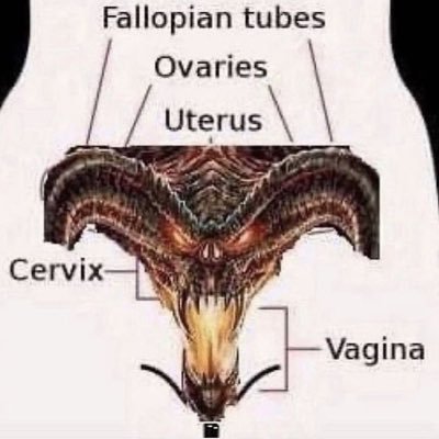 88centavos's profile picture. 