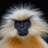 Kagnos's profile image