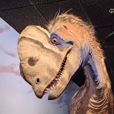 Moist_corn_69's profile picture. He/Him 
📸 Toy photographer
🦖 Dinosaur lover
🕷Spider-Man Fan