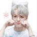 vernon as cats 🐈⬛️ (@vernonascats) Twitter profile photo vernon as cats 🐈⬛️ (@vernonascats) Twitter profile photo