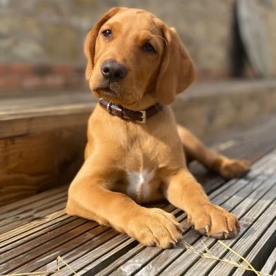 ma_curley's profile picture. Retired and absolutely loving life.