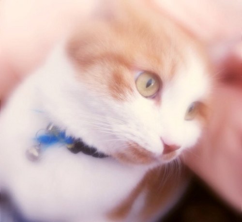 jinnimJr's profile picture. 