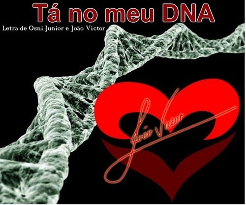 A vida é uma caminhada de amor e de amizade.Deixe o sol entrar em sua vida e verás que de fato és a esperança do sempre. ...