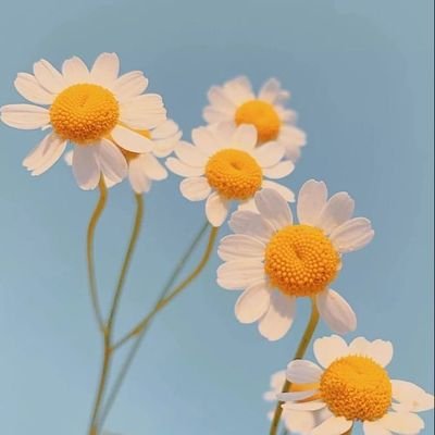 Boobiigf's profile picture. 