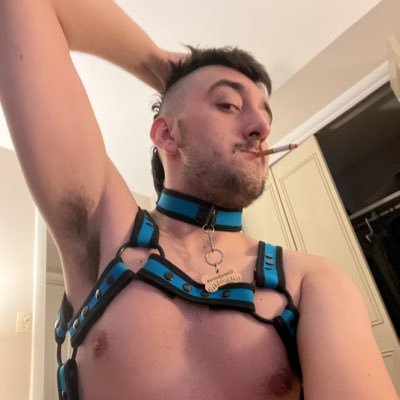 Smelly Skoonk Pupperino! Gay and lovin’ it. Most likely kinkier than you! Owned by Handler Sun.