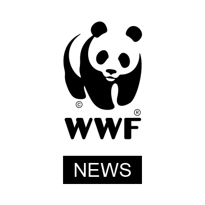 WWF International media team