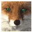 Taunting's profile image