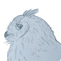 メンG (@igeta001) Twitter profile photo