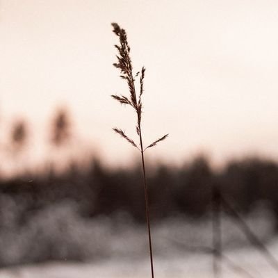 parassggggg's profile picture. Decentralised.