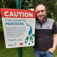 Robert Peacock (@peaky76) 's Twitter Profile Photo Robert Peacock (@peaky76) 's Twitter Profile Photo