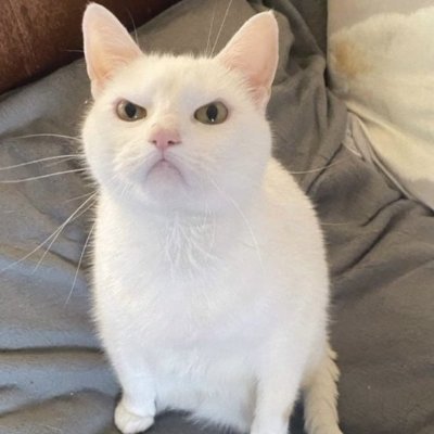 This is a personal account. Friendly🏴🏴