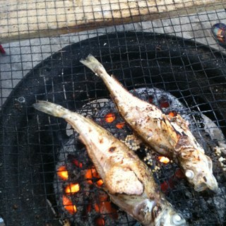 ahnjh1004's profile picture. 쪽팔리게 살지말자.