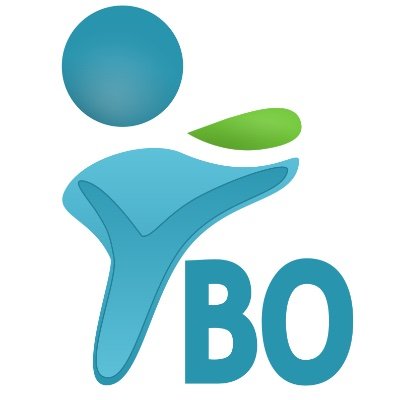 YBO Services, Odoo specialist, Schweiz und Kamerun