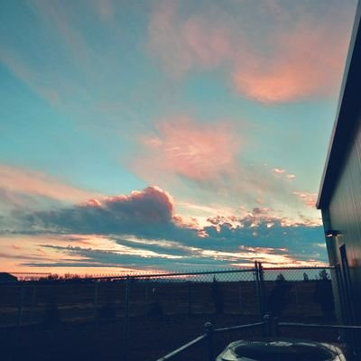 escape0420's profile picture. 