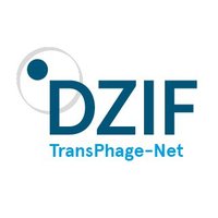DZIF Translational Phage Network(@DZIF_TransPhage) 's Twitter Profile Photo