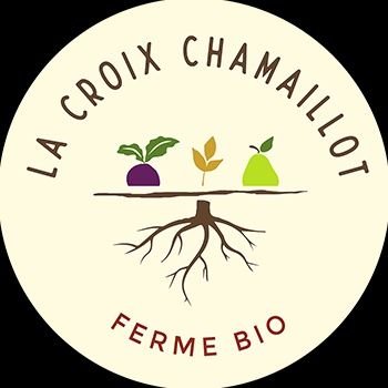 CroixChamaillot Profile Picture