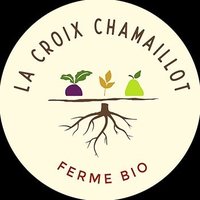 Frédéric Legros(@CroixChamaillot) 's Twitter Profile Photo