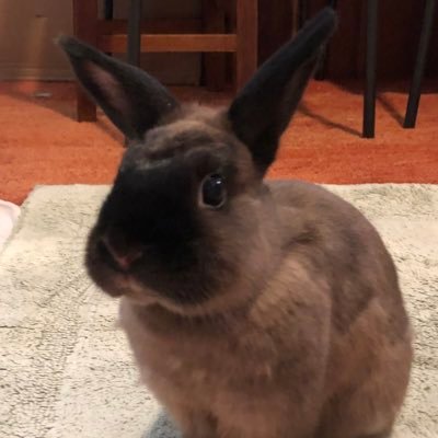 Climate scientist, occasional juggler, even more occasional author, curious about how the world works. Now @ https://t.co/TsESLkBYLd