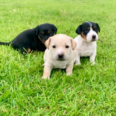 mcdonald2204's profile picture. 