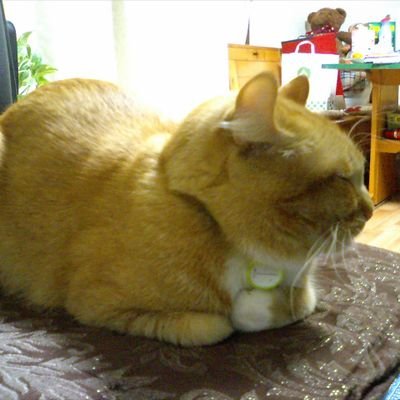 6HMgXkqwcE4m5K7's profile picture. 永遠の初心者！
🍠　💎　💎⚡