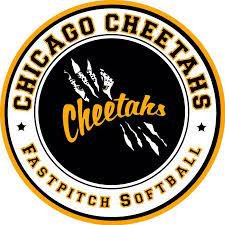 Chicago Cheetahs - Folsom Profile