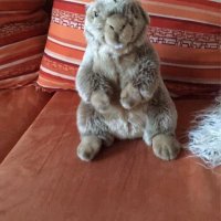 Frank-👨‍🦯 (@das_murmel) Twitter profile photo