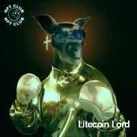 l_lordlitecooi Profile Picture