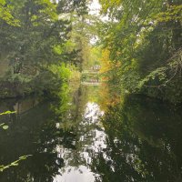 Nadine Burbar (@nburbar) 's Twitter Profile