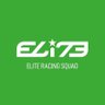 ERSeSports's profile picture. Home of the Elite Racing Squad twitter account | eSports simracing team active on GT7 💚