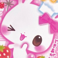 プロフィール帳 平成レトロ フワフワらびちゃん りす 犬 パンダ