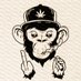 Rasta Monkey 🐒 (@RastaMonkey__) Twitter profile photo