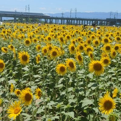 名古屋ボーイです
意外と真面目です
25才です