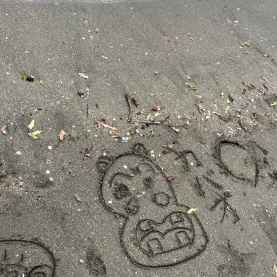 kekekeke10_29's profile picture. 県内だけ飛び回った豚