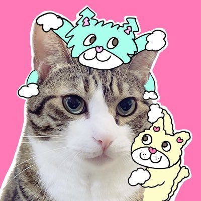 ネコ 様 カード検索 ｜ Z/X - Zillions of enemy X - ゼクス公式サイト