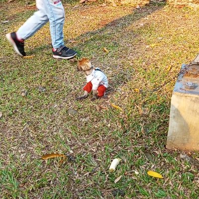 Go789831298216's profile picture. 