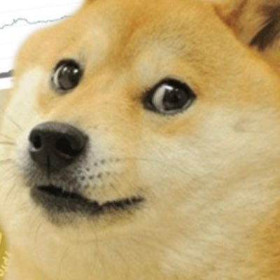 Dogehodler87 Profile Picture