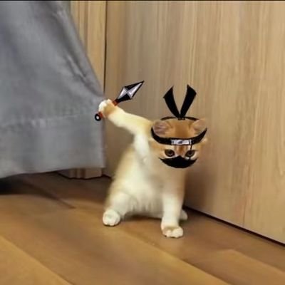 nzxpc0808's profile picture. 一天不导积阳德 两天不导积积阳阳德