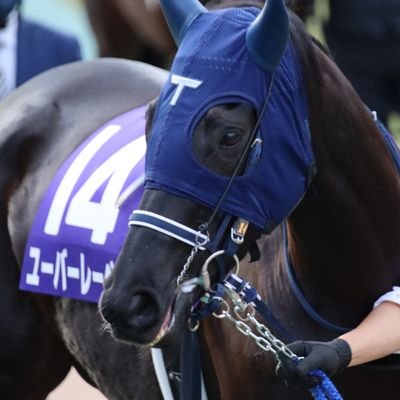 9999ゴールド 馬と女王のチャーム 3g SYMPATHY OF SOUL（シンパシーオブソウル） Horse Charm