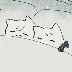 しろた☁️さんのプロフィール画像