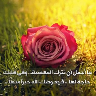 سبحان الله وبحمدة سبحان الله العظيم 

🇸🇦🌹