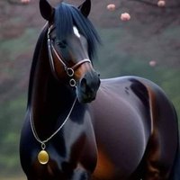 Feryal Al-Nahar (@feryalnahar) Twitter profile photo