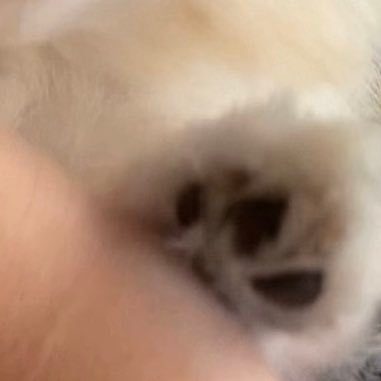 oktnsny's profile picture. 