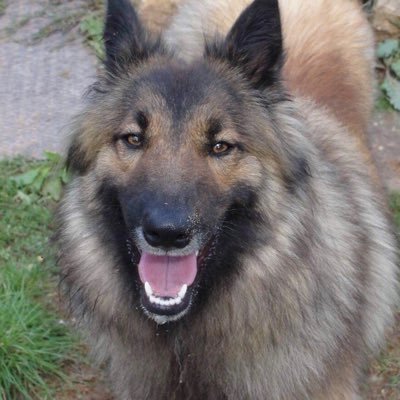 Pacheco_369's profile picture. Mi abuelo me enseñó a mirar al cielo, para saber que pasaría al día siguiente y no fiarme de quien te miente una vez, … te mentira siempre.
