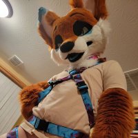 Tal_os in heat~ (@twinkyfoxvhs) 's Twitter Profile