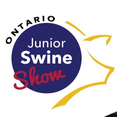 Youth Swine Show happening at the Royal Agricultural Winter Fair in Toronto, Canada each year.