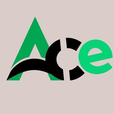 Acevrlab's profile picture. We are group of professionals with wide skills. our expertise includes 
★2d or 3d Animation character, live2d
★Vrchat avatars:- Anime, furry, nsfw and more...