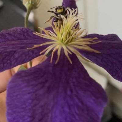 ST_Nana1's profile picture. Now turning 26 this year